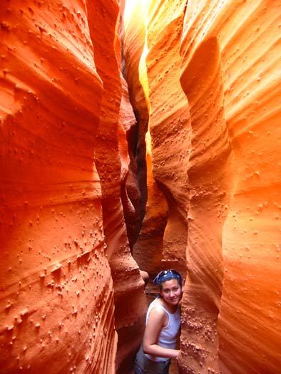 Canyon monkey in Spooky